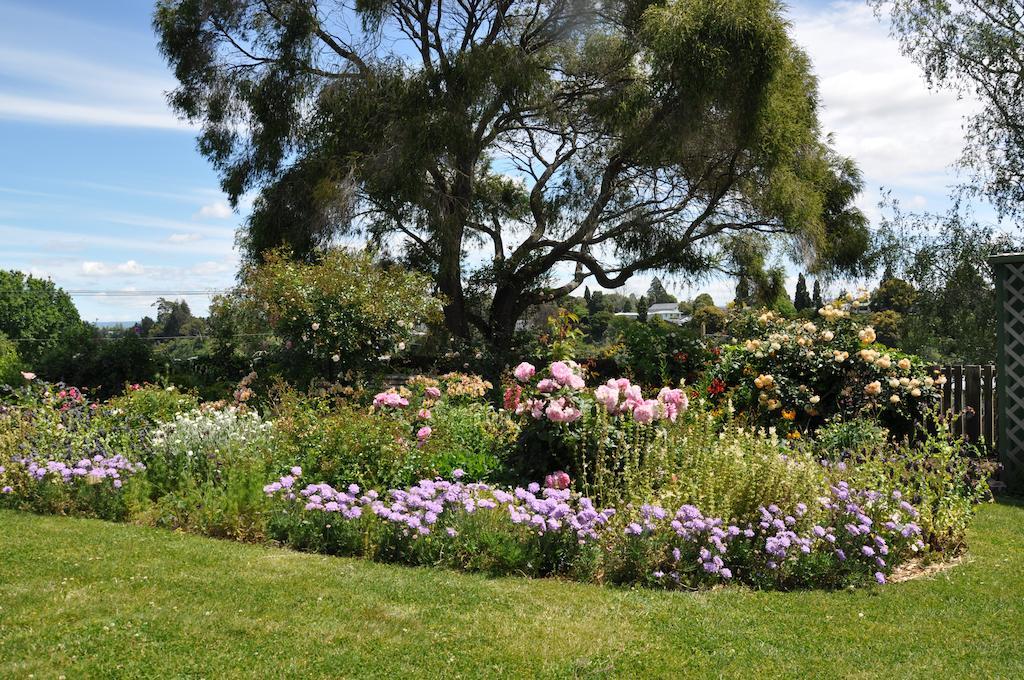 Harbinger House Bed & Breakfast Tauranga Exterior photo