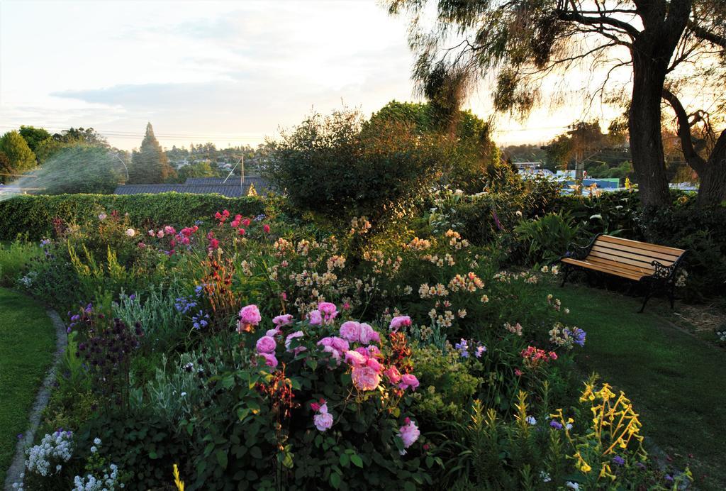 Harbinger House Bed & Breakfast Tauranga Exterior photo