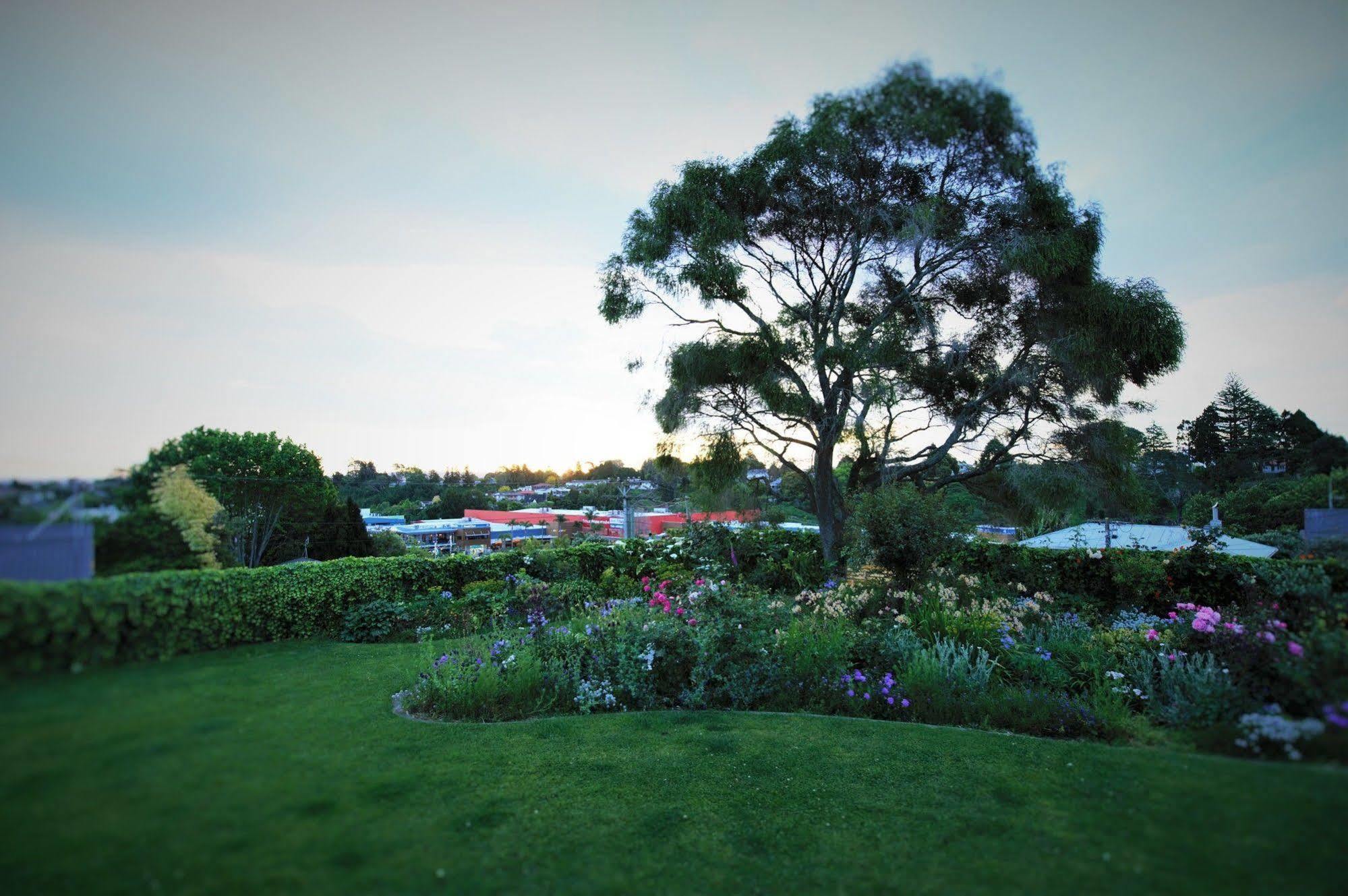 Harbinger House Bed & Breakfast Tauranga Exterior photo